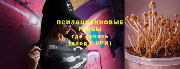 Альфа ПВП Абаза