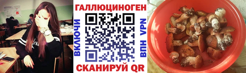 Псилоцибиновые грибы ЛСД Ростов-на-Дону